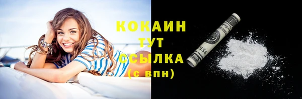 мяу мяу мука Белокуриха