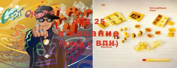 метадон Богданович