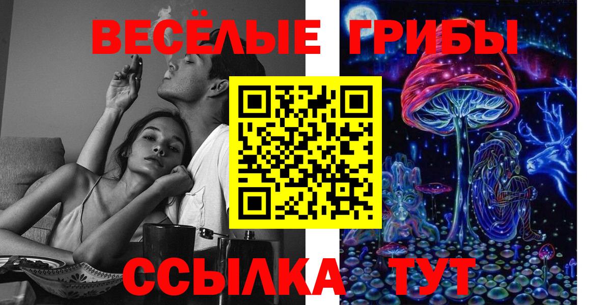 Псилоцибиновые грибы мухоморы  Вход с VPN  Буйнакск 