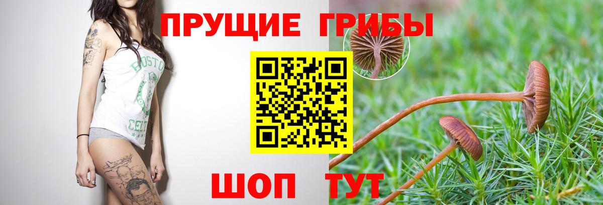 Псилоцибиновые грибы ЛСД Буйнакск